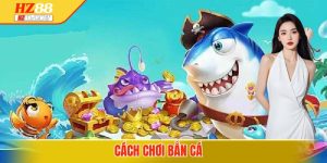 cach-choi-ban-ca